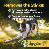Thumbnail for Happy Jack Itch No More Dog Itchy Skin Shampoo & Treatment (12 oz), Flea Bites, Allergies & Itch Relief, Stops Itching, Scratching & Gnawing on First Application for Healthy Dog Skin & Coat