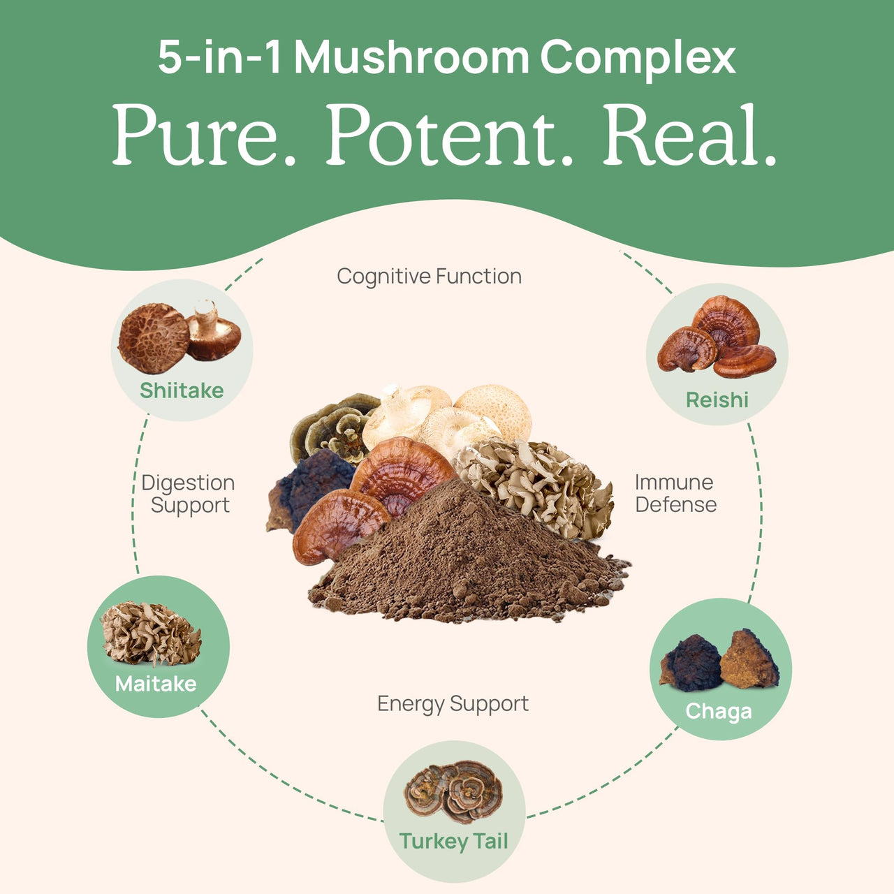 Real Mushrooms 5 Defenders Capsules - Organic Mushroom Extract w/Chaga, Shiitake, Maitake, Turkey Tail, Reishi Supplement for Focus, Immune Support Vegan, Non-GMO, 90 Caps