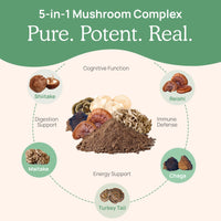 Thumbnail for Real Mushrooms 5 Defenders Capsules - Organic Mushroom Extract w/Chaga, Shiitake, Maitake, Turkey Tail, Reishi Supplement for Focus, Immune Support Vegan, Non-GMO, 90 Caps
