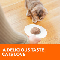 Thumbnail for IAMS Perfect Portions Healthy Kitten Grain Free Wet Cat Food, Wet Cat Food Pate Recipe, Chicken Recipe, 2.6 oz. (24 Twin Packs)