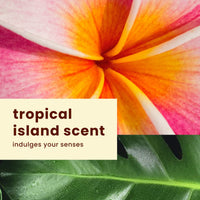 Thumbnail for Hawaiian Tropic Everyday Active Lotion Sunscreen SPF 30, 8Fl Oz Twin Pack, Hawaiian Tropic Sunscreen SPF 30, Sunblock, Oxybenzone Free Sunscreen, Broad Spectrum Sunscreen Pack, 8Fl Oz each
