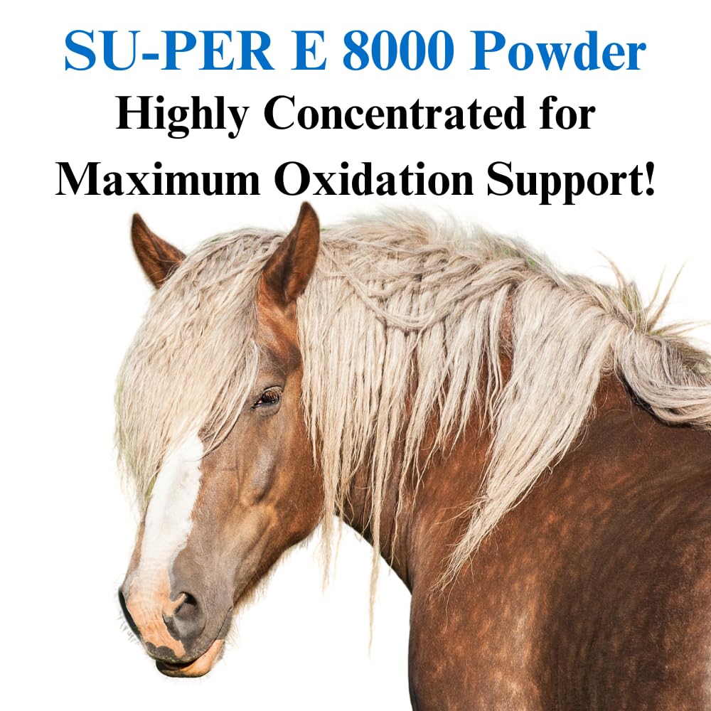 SU-PER E 8000 Horse Antioxidant Supplement - Concentrated Vitamin E Supplement for Performance Horses - 4 Pounds