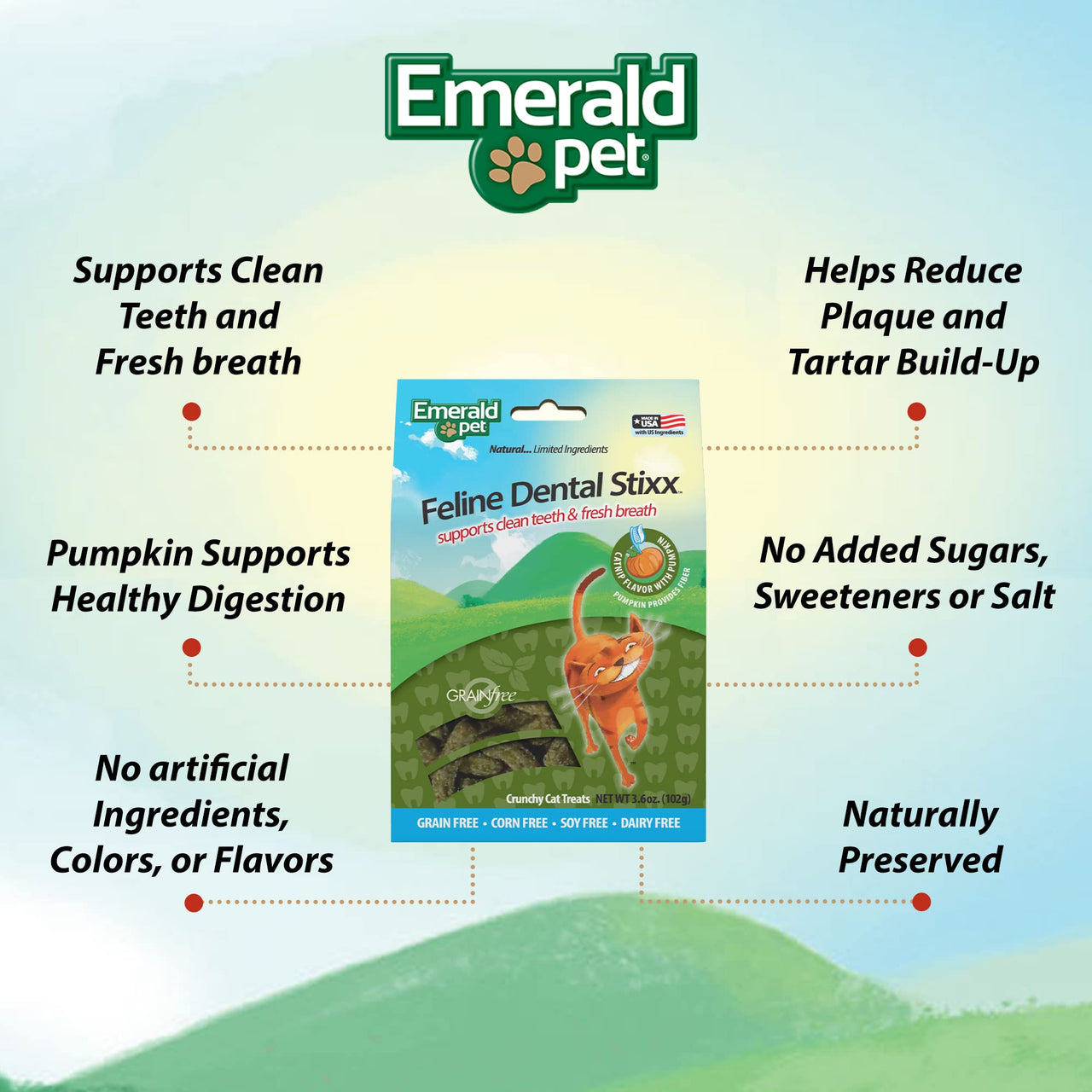 Emerald Pet Feline Dental Stixx — Tasty and Crunchy Cat Sticks with Pumpkin for Digestive Health — Natural Grain Free Treats for Clean Cat Teeth and Fresh Breath — Catnip, 3.6 oz