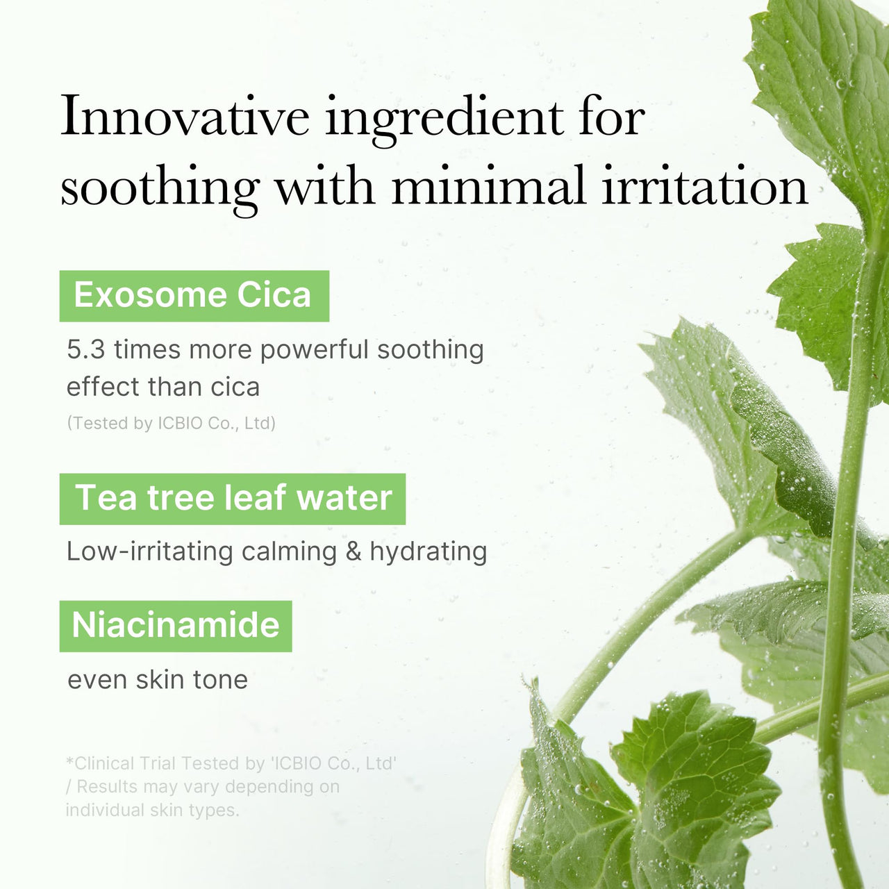 medicube Toner Pads Exosome CICA Tea Tree Calming Toner Pad for Sensitive Skin | Centella Asiatica for Redness, Breakouts | Low-irritating & Hydrating Care | Korean Skincare, 100 Pads (1 Pack)