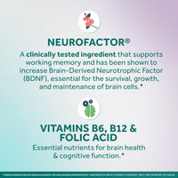 Thumbnail for NEURIVA Memory 3D Brain Supplement - Decaffeinated Nootropic Capsules for Memory, Focus, & Cognitive Function - Short Term, Long Term, & Working Memory Support - 50ct
