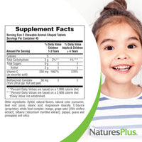 Thumbnail for NaturesPlus Animal Parade Sugar-Free Children's Vitamin C, Natural Orange Juice Flavor - 90 Chewable Animal Shaped Tablets - Immune Support - Gluten Free - 45 Servings