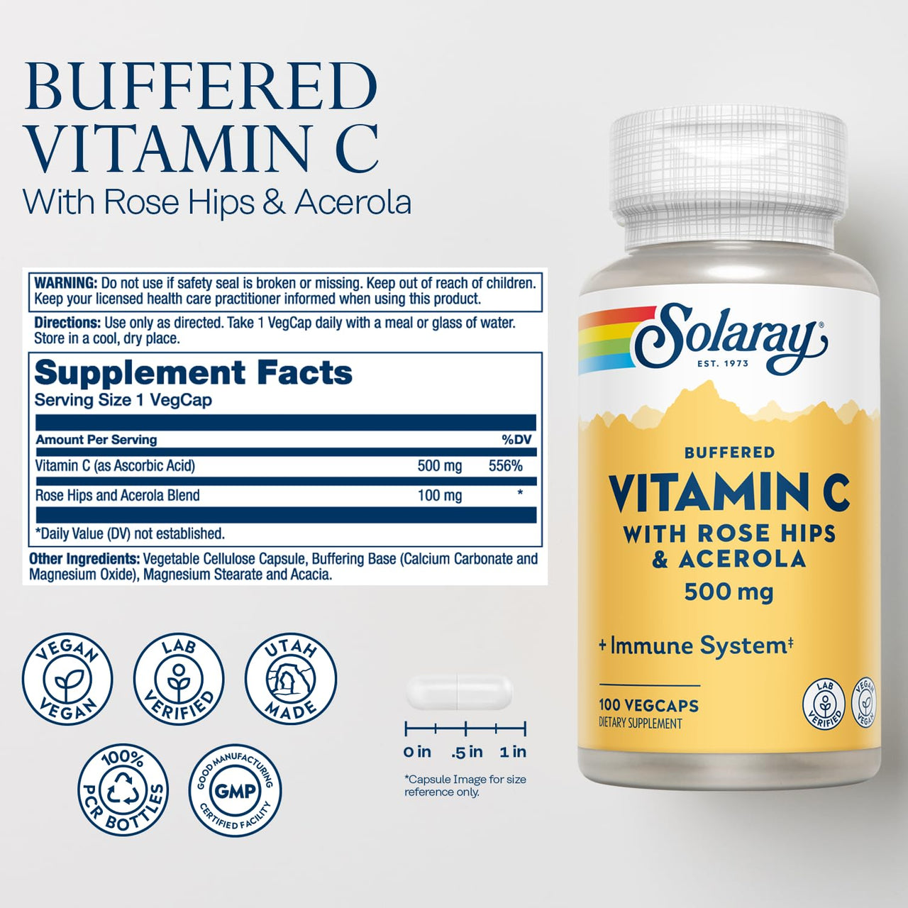 SOLARAY Buffered Vitamin C 500mg - Plus Rose HIPS and Acerola - Immune Support Supplement - Vegan, Lab Verified, 60-Day Guarantee - 100 Servings, 100 VegCaps