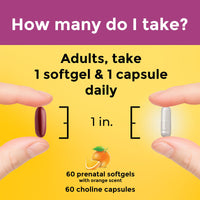 Thumbnail for Nature Made Prenatal Vitamin Softgels + Choline Capsules, Folic Acid + DHA + Choline, 60 Prenatal Vitamins for Women, 60 Choline Supplements Capsules, 60 Day Supply