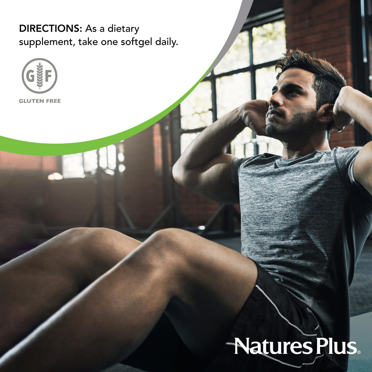 NaturesPlus PRO ThymoQuin Black Seed Oil 500 mg - 60 Softgels - Full-Spectrum, Cold-Pressed Oil - Gluten Free - 60 Servings