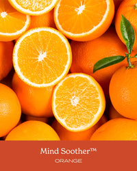 Thumbnail for Herb Pharm Mind Soother: Orange Liquid Herbal Formula: ith Non-GMO Noble Kava & Sweet Orange Essential Oil, Stabilizing Support for Calm & Relaxation, Vegan, Gluten-Free, Up to ~3 Month Supply, 4 oz*