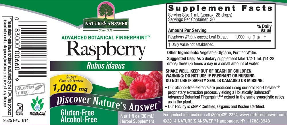 Nature's Answer Alcohol-Free Raspberry Leaf, 1-Fluid Ounce