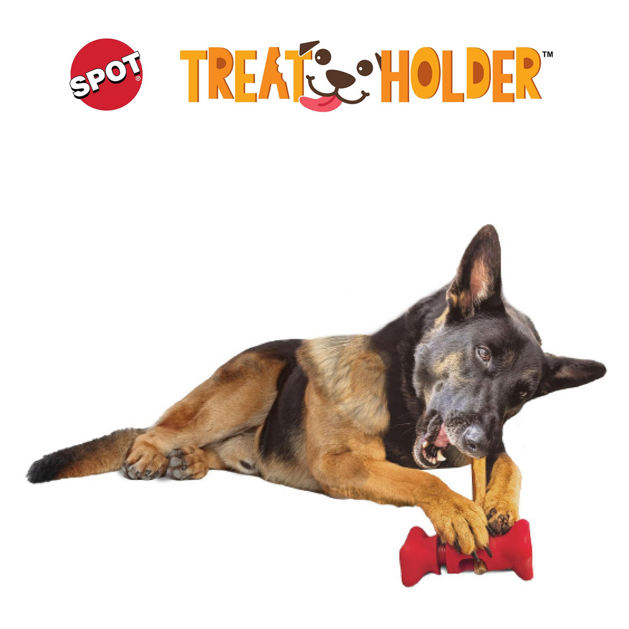 SPOT Treat Holder- Safety Device Bully Stick Holder & Yak Cheese Holder for Small and Medium Dogs, to Help Prevent Choking, 4.5in