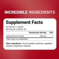 Thumbnail for Dr. Berg Adrenal Glandular - Hormone Balance Formula That Supports Healthy Adrenal Function - Adrenal Support Supplement - 60 Capsules