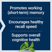Thumbnail for Life Extension Neuro-Mag Magnesium L-Threonate Powder (Tropical Punch) - Ultra-Absorbable Magnesium - Supports Memory, Focus, Cognitive Function & Mood - Gluten free, Non-GMO, Vegetarian (30 Servings)