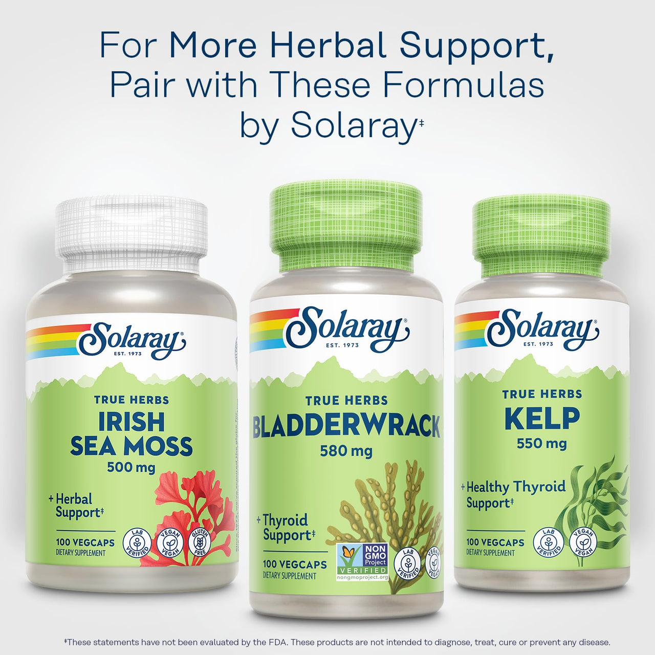 SOLARAY Bladderwrack Capsules 580 mg - Nutrient-Packed Seaweed Supplement, High in Iodine - Balanced Herbal Support - Vegan, Non-GMO, 60-Day Guarantee, Lab Verified - 100 Servings, 100 VegCaps