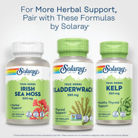 Thumbnail for SOLARAY Bladderwrack Capsules 580 mg - Nutrient-Packed Seaweed Supplement, High in Iodine - Balanced Herbal Support - Vegan, Non-GMO, 60-Day Guarantee, Lab Verified - 100 Servings, 100 VegCaps