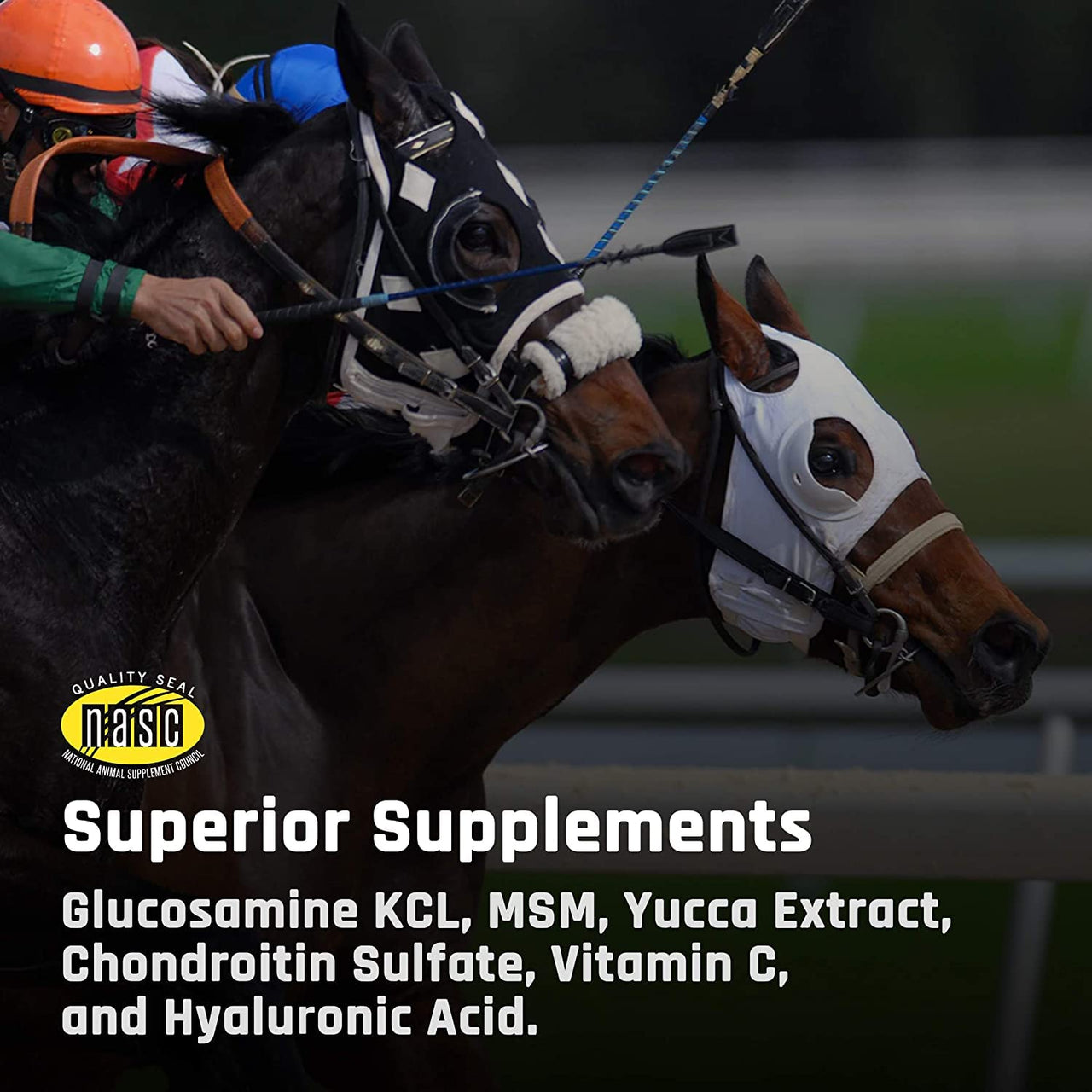 Majesty's Biotin Wafers - Superior Horse / Equine Hoof and Coat Support Supplement - Copper, Zinc, Lysine, Methionine - 30 Count (1 Month Supply)