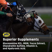 Thumbnail for Majesty's Biotin Wafers - Superior Horse / Equine Hoof and Coat Support Supplement - Copper, Zinc, Lysine, Methionine - 30 Count (1 Month Supply)