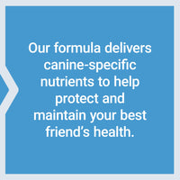 Thumbnail for Life Extension Dog Mix, Dog Vitamins and Supplements, probiotics, L-carnitine, B12, folic Acid, Vitamin C, Vitamin E, Rosemary, Nutrient Absorption, Gluten-Free, Non-GMO, 60 Servings