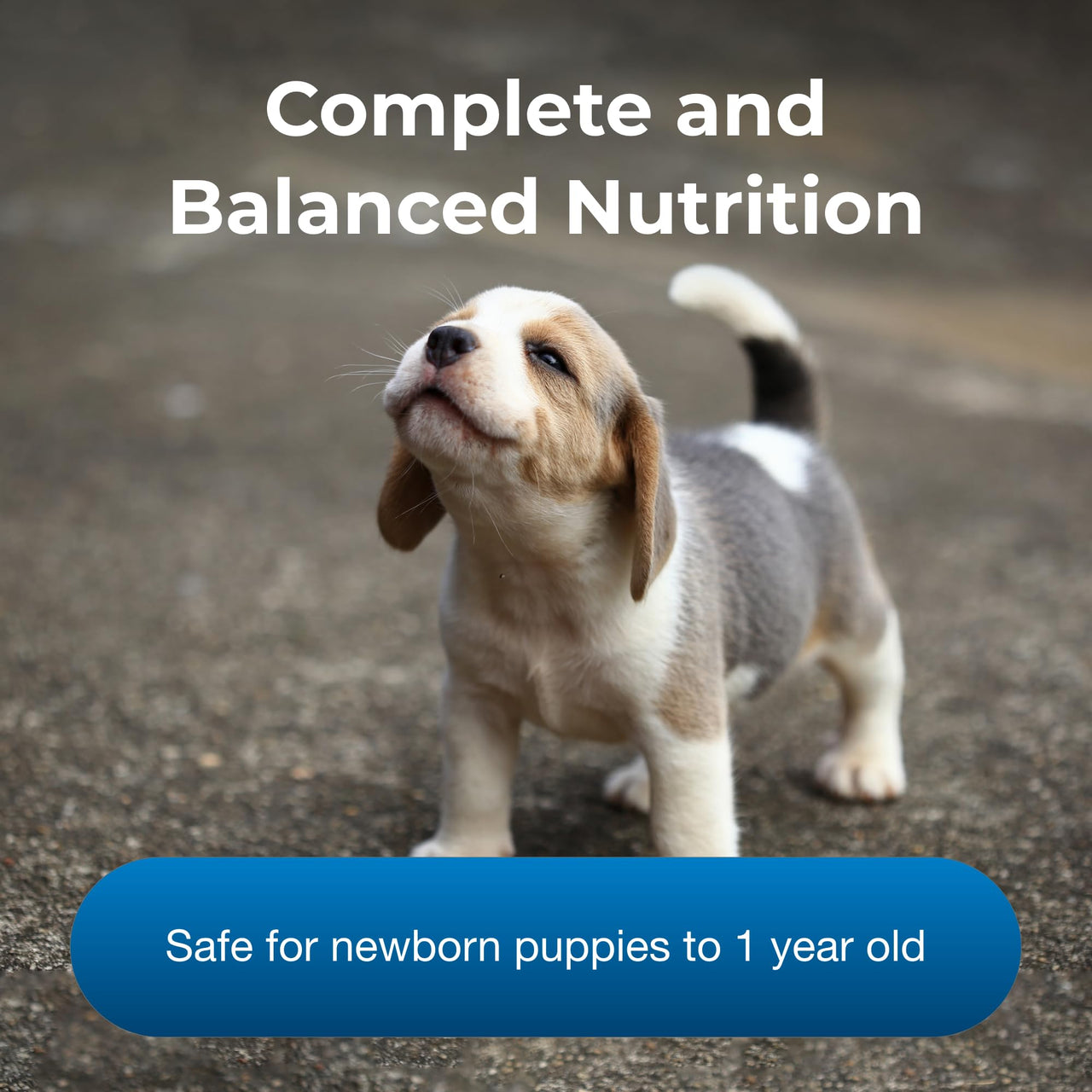 Pet-Ag PetLac Powder for Puppies - 10.5 oz - Puppy Milk Replacement Powder Puppies Newborn to Six Weeks Old - Easy to Digest