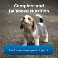 Thumbnail for Pet-Ag PetLac Powder for Puppies - 10.5 oz - Puppy Milk Replacement Powder Puppies Newborn to Six Weeks Old - Easy to Digest