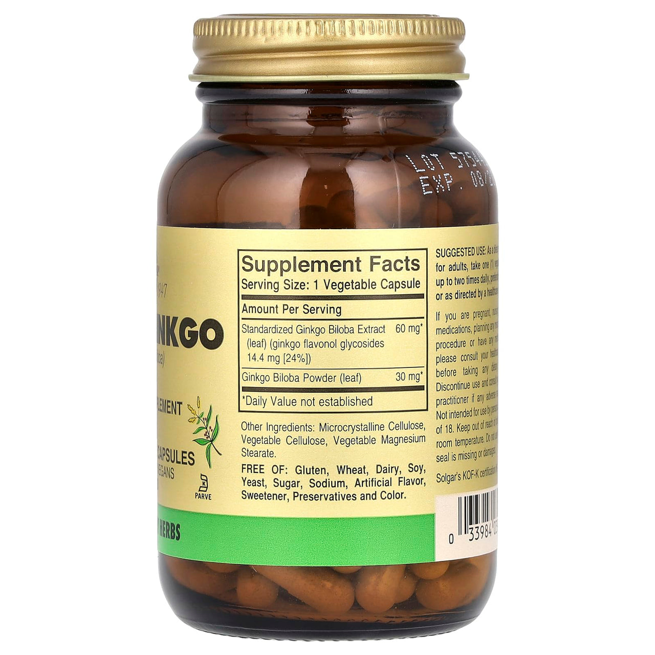 Solgar Super Ginkgo, 120 Vegetable Capsules - Full Potency (FP) - Antioxidant & Nervous System Support - Brain Health - Non-GMO, Vegan, Gluten Free, Dairy Free, Kosher - 120 Servings