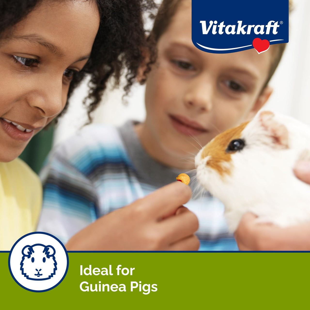Vitakraft Drops with Orange Flavor Guinea Pig Treats 5.3 oz Bag Delicious Yogurt Enriched Snacks with Vitamin C Essential Nutrients and Wholesome Nourishment for Small Pets