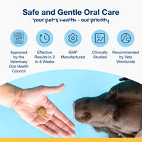 Thumbnail for ProDen PlaqueOff Soft Chews with Natural Kelp - for Large & Giant Breed Dogs - Supports Normal, Healthy Teeth, Gums, and Breath Odor in Dogs - 90 Soft Chews