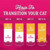 Thumbnail for Triumph Free Spirit Deboned Salmon & Chickpea Recipe Dry Cat Food, 3lb.