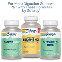 Thumbnail for SOLARAY Pancreatin 1300, Pancreatic Digestive Enzymes with Protease, Amylase and Lipase, Plus Papain - Digestion Health Support, Lab Verified, 60 Day Guarantee, 90 Servings, 90 VegCaps