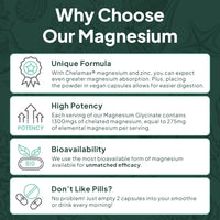 Thumbnail for Organics Ocean Pure Magnesium Glycinate with Zinc - Maximum Strength Chelated Magnesium Supplement for Women and Men for Muscle Cramps and Sleep Support - 90 Capsule