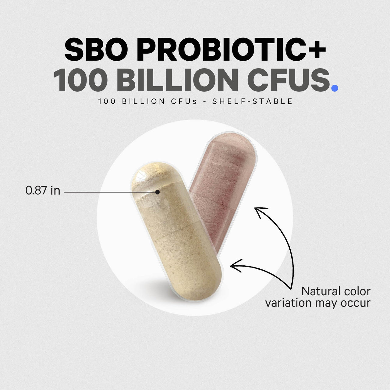 Codeage SBO Probiotics, 100 Billion CFUs Per Serving, Multi Strain Soil Based Organisms Blend and Organic Fermented Botanical Blend, Shelf-Stable, 90 Capsules