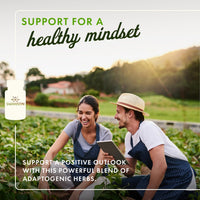 Thumbnail for Swanson Rhodiola Ashwagandha Ginseng Complex Energy Immune Function Nervous System Stress Support Adaptogen Herb Supplement 60 Capsules