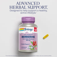 Thumbnail for SOLARAY Berberine 500mg - Berberine Supplement for a Healthy, Active Lifestyle - with Berberine HCl from Indian Barberry - Vegan, Non-GMO, 60-Day Guarantee, Lab Verified - 100 Servings, 100 VegCaps