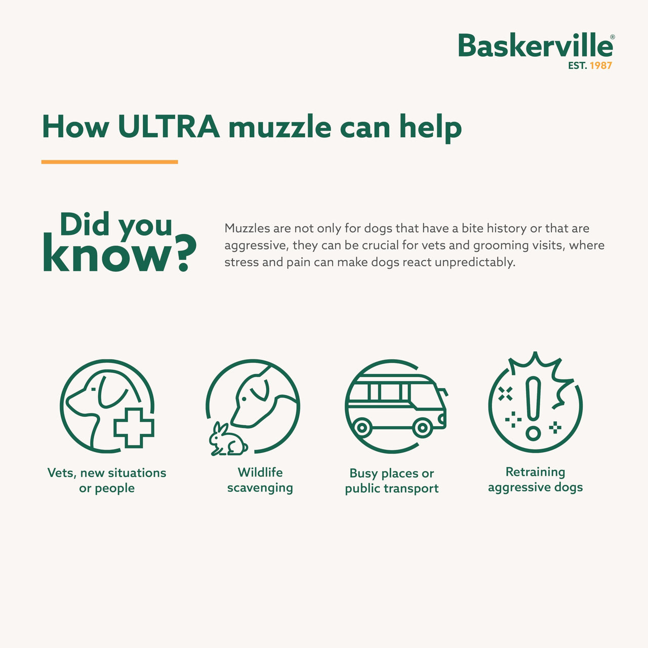 Baskerville ULTRA Muzzle - Patented Humane Design, Breathable, Dog can Pant and Drink, Adjustable, Padded, Training Muzzle for Medium-sized Dogs, Prevents Biting, Wildlife Scavenging (Size 4, Black)