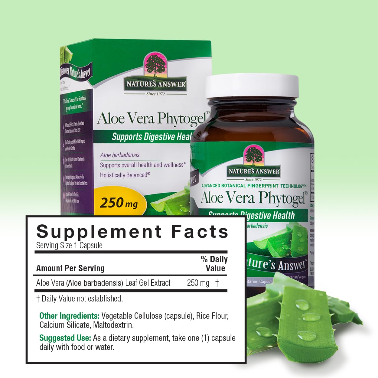 Nature's Answer's Aloe Vera Phytogel | Antiseptic Healing Properties | Vegan, Non-GMO & Kosher Certified | Capsules 90Ct