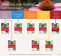 Thumbnail for Traditional Medicinals Organic Echinacea Plus Seasonal Tea (Pack of 1), Promotes Immune Function, 16 Tea Bags