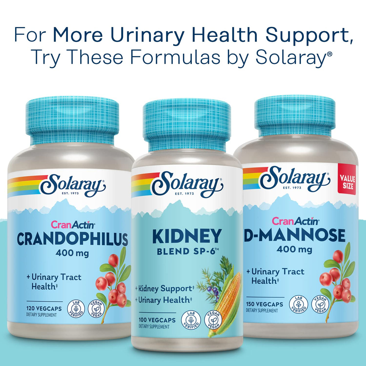 SOLARAY CranActin Cranberry Extract 400 mg - Cranberry Supplements for Women and Men - Bladder and Urinary Tract Health Support with Vitamin C - Vegan, 60-Day Guarantee, 180 Servings, 180 VegCaps