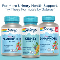 Thumbnail for SOLARAY CranActin Cranberry Extract 400 mg - Cranberry Supplements for Women and Men - Bladder and Urinary Tract Health Support with Vitamin C - Vegan, 60-Day Guarantee, 180 Servings, 180 VegCaps