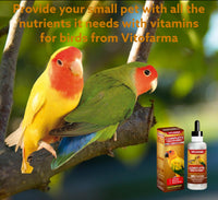 Thumbnail for VITOFARMA Multi-Vitamin for Birds, High-Potency Vitamin & Mineral Supplement for Pet Birds 2.0 Ounce