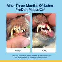 Thumbnail for ProDen PlaqueOff Scoopables - Hickory Smoked Bacon Flavor Dental Bites for Small Dogs, Natural Kelp for Plaque & Tartar Control, Freshens Breath - Small & Medium Breed Dental Care- 45 Scoops