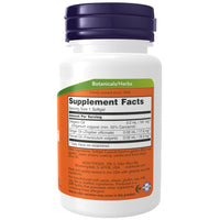 Thumbnail for NOW Foods Supplements, Oregano Oil with Ginger and Fennel Oil, Enteric Coated, 90 Softgels