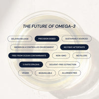 Thumbnail for Blueprint Bryan Johnson Omega-3 - Vegan Algae Omega 3 Supplement with EPA/DHA - 800mg Plant-Based for Brain, Heart & Joint Support - High Absorption Triglyceride Form - 1:1 EPA/DHA