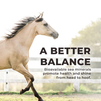 Thumbnail for Daily Red Complete Wellness, Fortified Mineral Mix Supplement for Horses (5 LB)
