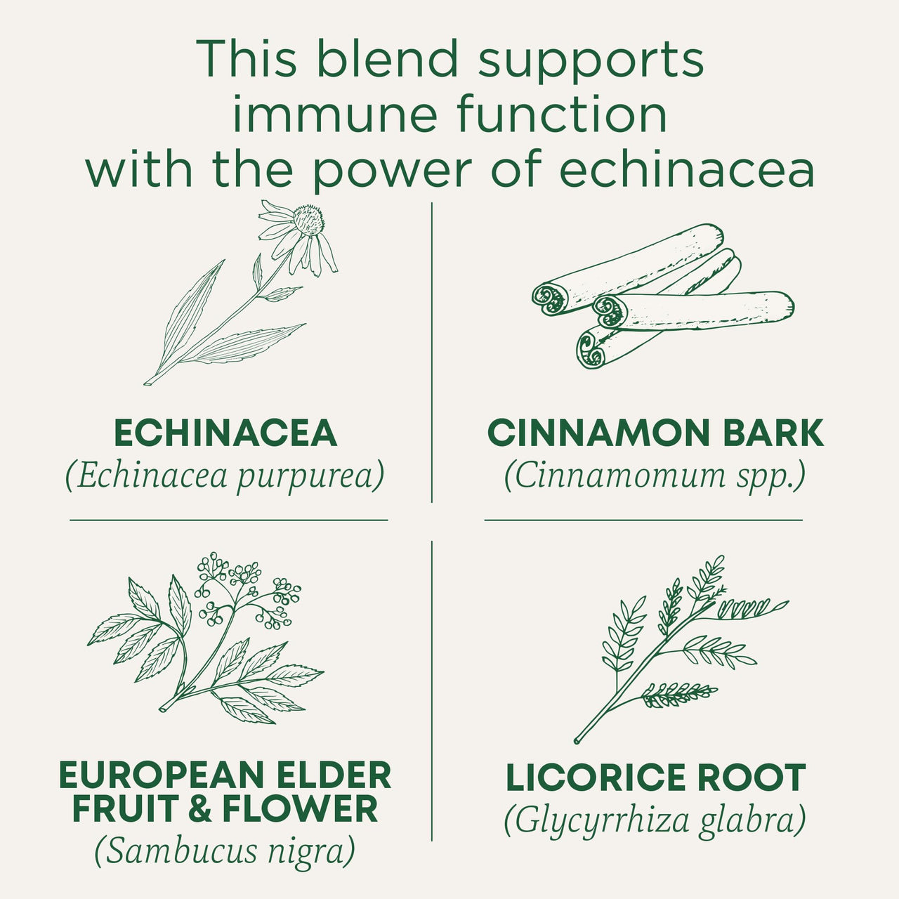 Traditional Medicinals Tea, Organic Immune Zoom Elderberry Echinacea - Supports Immune Function - Kosher, Non-GMO, Caffeine-Free, Compostable - 16 Tea Bags