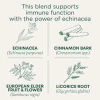 Thumbnail for Traditional Medicinals Tea, Organic Immune Zoom Elderberry Echinacea - Supports Immune Function - Kosher, Non-GMO, Caffeine-Free, Compostable - 16 Tea Bags