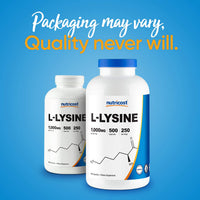 Thumbnail for Nutricost L-Lysine 1000mg Per Serving, 250 Servings, 500 Capsules - Gluten Free, Non-GMO, 500mg Per Capsule