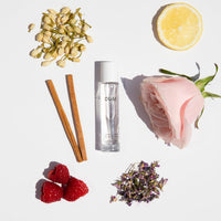 Thumbnail for OUAI North Bondi Eau de Parfum Travel Size - Elegant Womens Perfume for Everyday Wear - Fresh Floral Scent has Notes of Lemon, Jasmine & Bergamot with Delicate Hints of Violet and White Musk (.34 Oz)