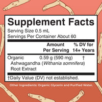 Thumbnail for MaryRuth Organics Ashwagandha Root | USDA Organic Ashwagandha Liquid Drops | Stress Relief, Natural Calm, Relaxation and Mood Support Supplement | Adaptogenic | Nervine | Vegan | Non-GMO | 60 Servings