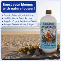 Thumbnail for Neptune's Harvest Fish & Seaweed Liquid Fertilizer (2-3-1) - 18oz Pint - Plant Food for Garden - Indoor & Outdoor Organic Plant Fertilizer for Vegetables, Flowers, Fruit, Trees & Lawns
